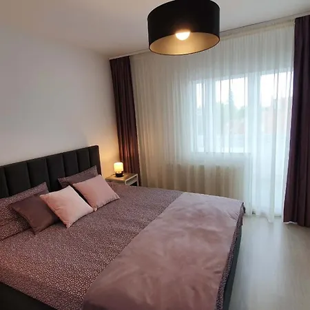 Sunny & Cozy Брашов