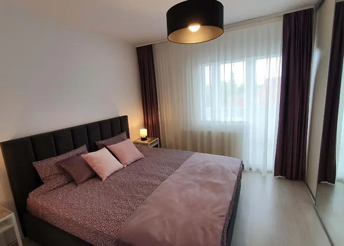 Sunny And Cozy, Брашов